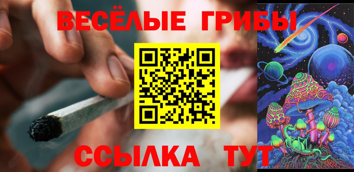 Галлюциногенные грибы GOLDEN TEACHER Ижевск
