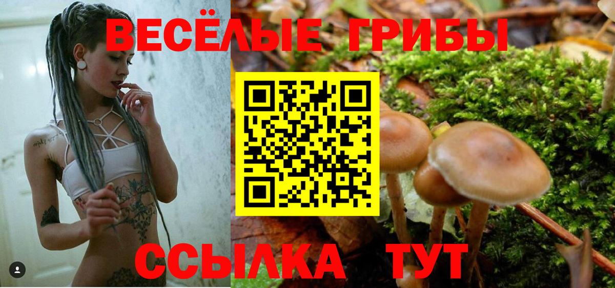 Ижевск  Псилоцибиновые грибы Psilocybine cubensis  дарнет шоп  Вход с VPN 